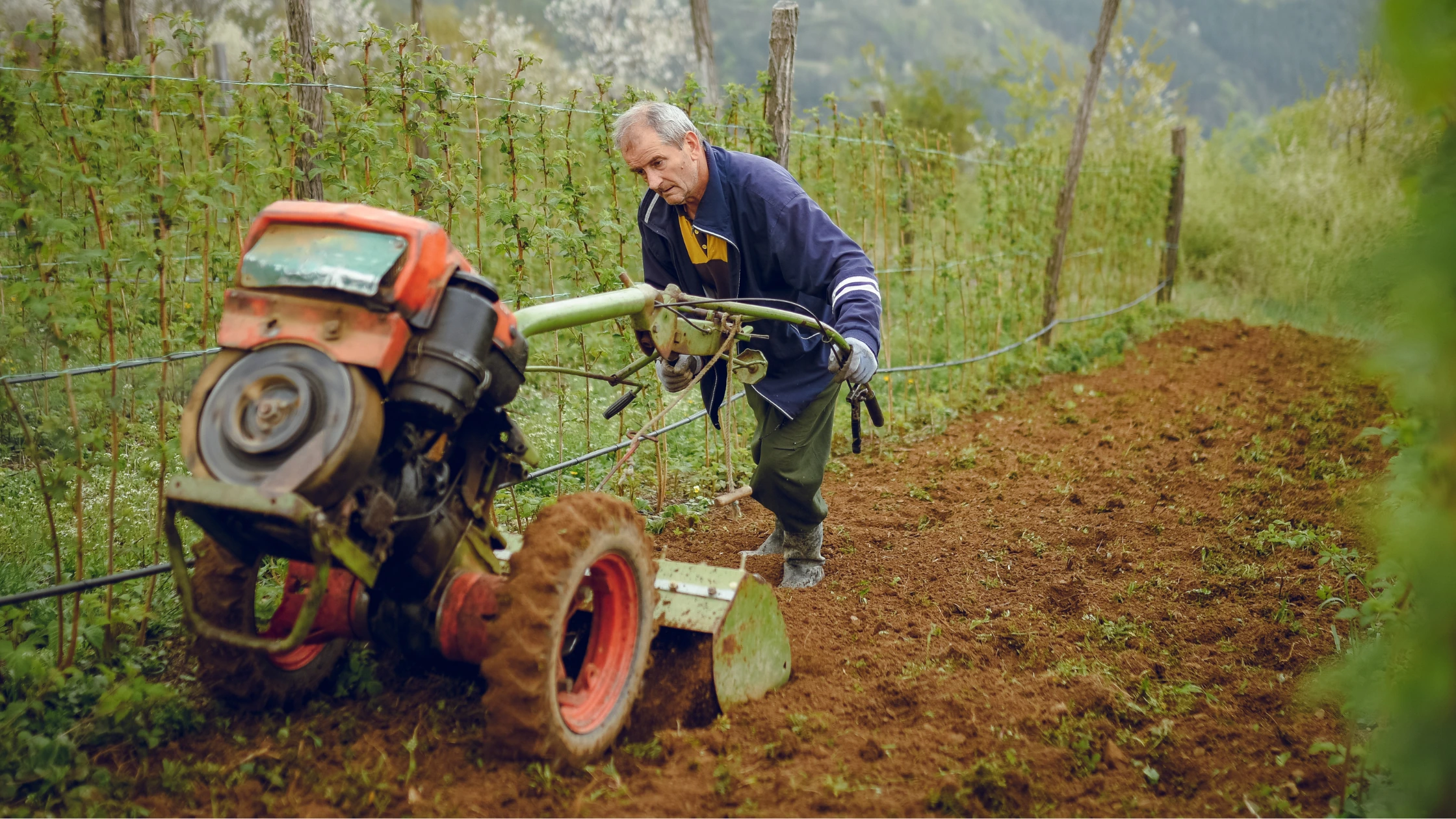 Cel mai bun motocultor